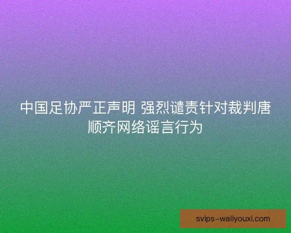 中国足协严正声明 强烈谴责针对裁判唐顺齐网络谣言行为 中国足协严正声明 强烈谴责针对裁判唐顺齐网络谣言行为